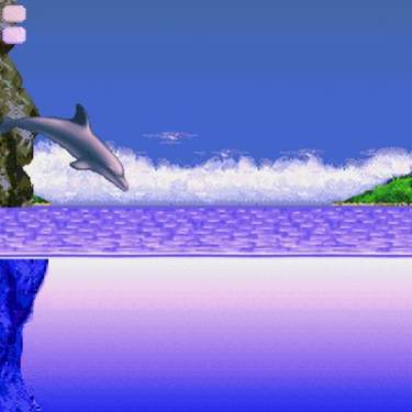 Ecco the Dolphin